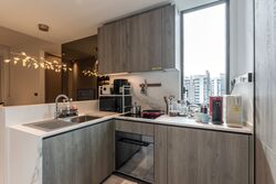 Leedon Green (D10), Condominium #521760071